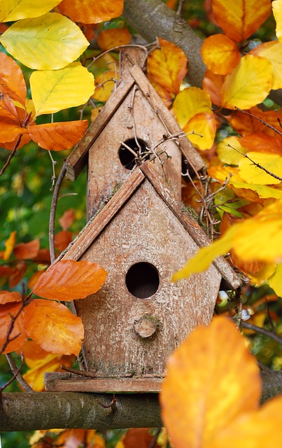 DIY-Vogelhäuschen: Labstation im Winter